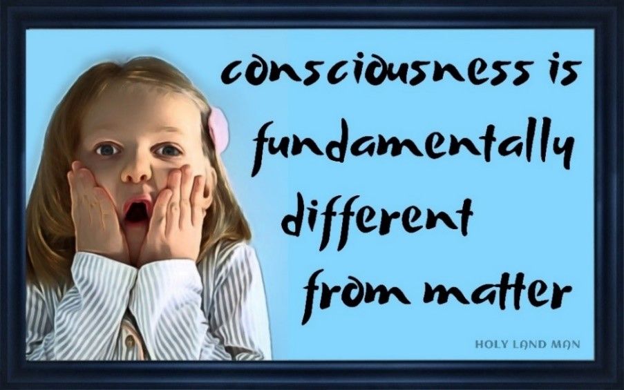 Consciousness is fundamentally different from matter