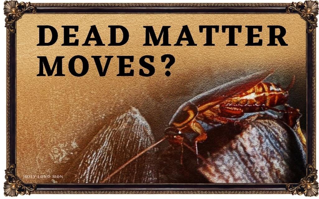 Dead matter moves?