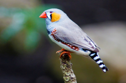 Can you sense nutrients