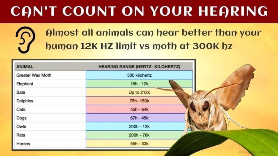 Can't count on your hearing