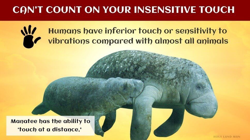 Can't count on your insensitive touch