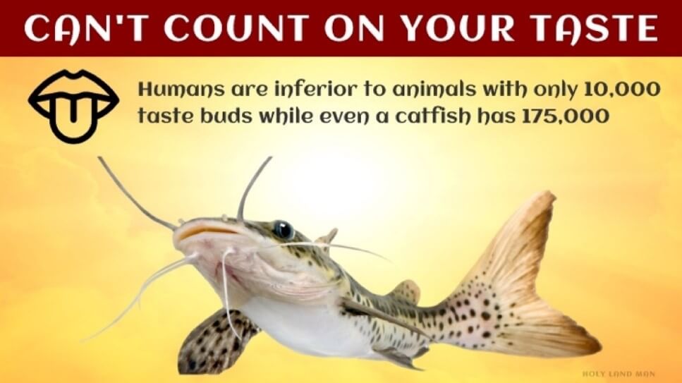 YOU CAN’T COUNT ON YOUR TASTE