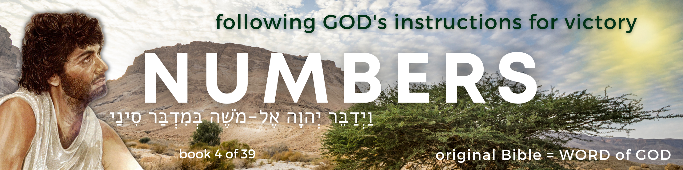4 Numbers book - original bible - banner