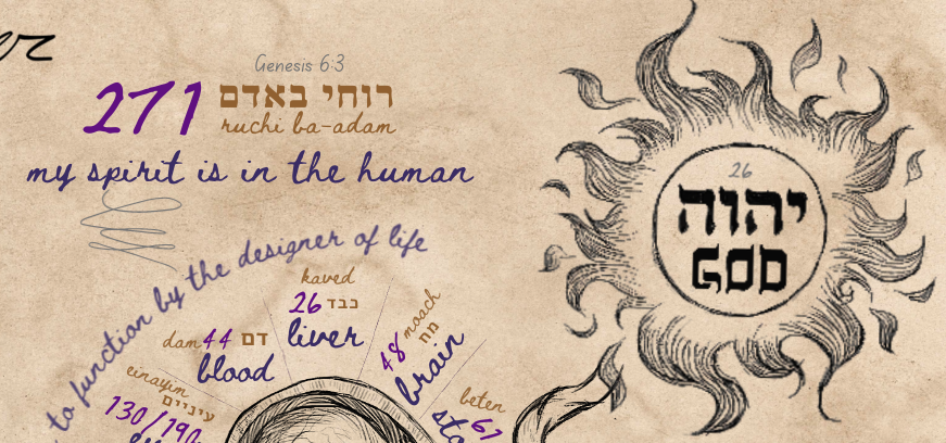 spog part upper right 271