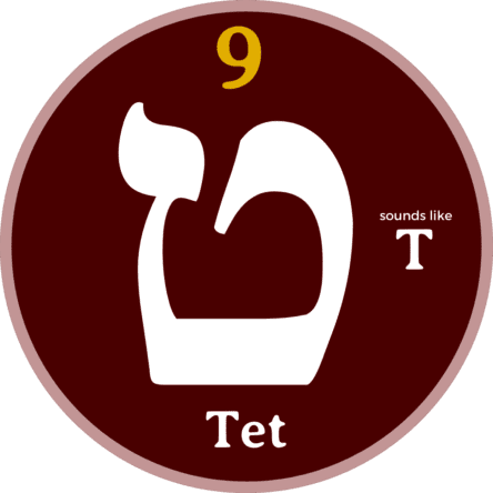 Tet - Hebrew Letters