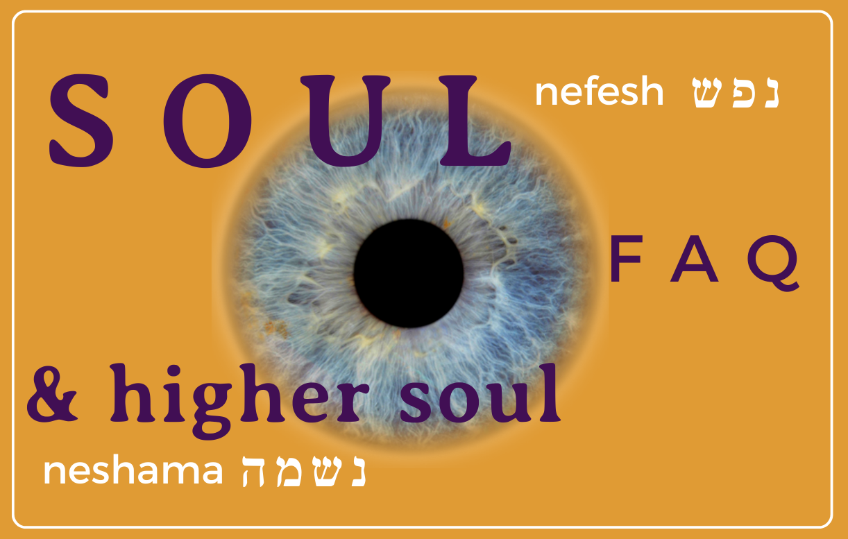 Soul / Body FAQ