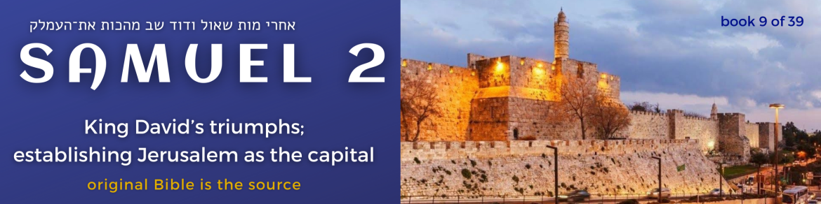 9 SAMUEL 2 book - original bible - banner